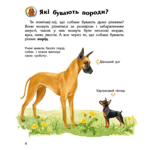 «Енциклопедія дошкільника. Собаки» на 32 сторінки з м`якою обкладинкою 24х20 см, ТМ Ранок