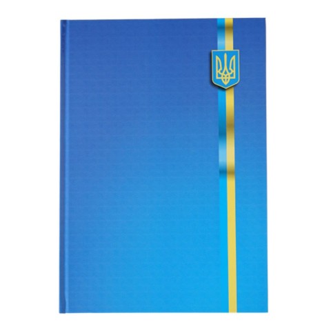 Книга канцелярська А4 на 96 аркушів у клітинку з твердою обкладинкою, в асортименті, TM Buromax