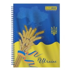 Канцелярська книга А4 на 96 аркушів у клітинку на пружині збоку з твердою ламінованою обкладинкою, ТМ Buromax