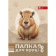 Папка для праці «Капібара» А4 на гумках повноформатна, ТМ Скат