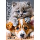Щоденник шкільний «Love cat» 14,5х20 см на 40 аркушів на скобі, ТМ Мандарин