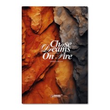 Канцелярська книга у клітинку на 96 аркушів з твердою ламінованою обкладинкою, №4456 ТМ Brisk, в асортименті