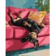 Картина за номерами «Диванне задоволення» 40х50 см, ТМ Ідейка